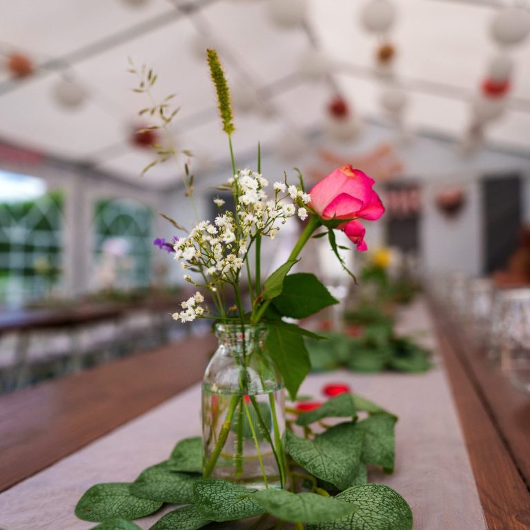 Künsterlisches Portrait Fotografie Outdoor in der Wiese bei Sonnnenschein